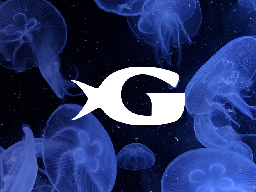Georgia Aquarium 2025