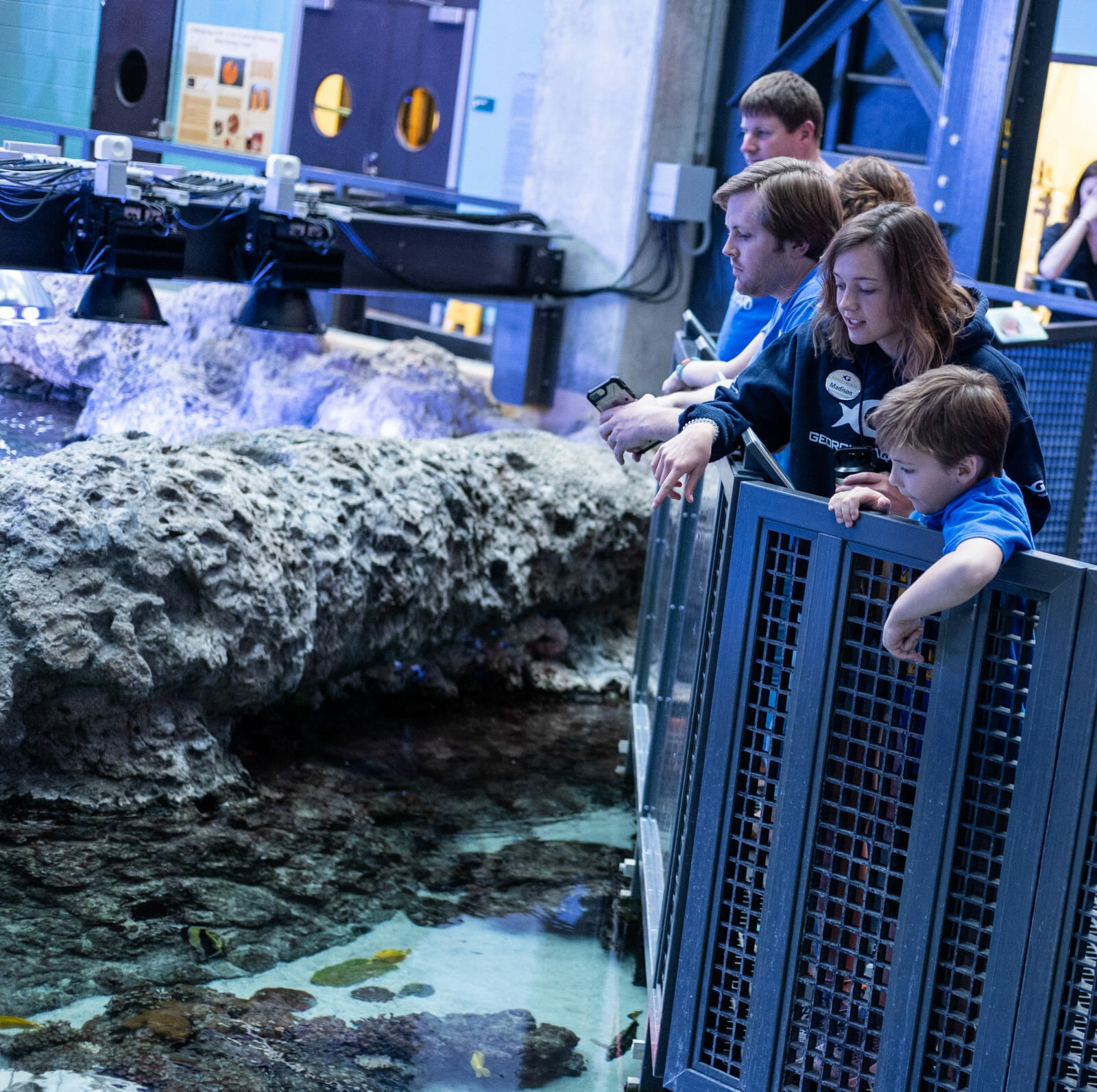 Behind the Seas Tour Explore the Surface Aquarium