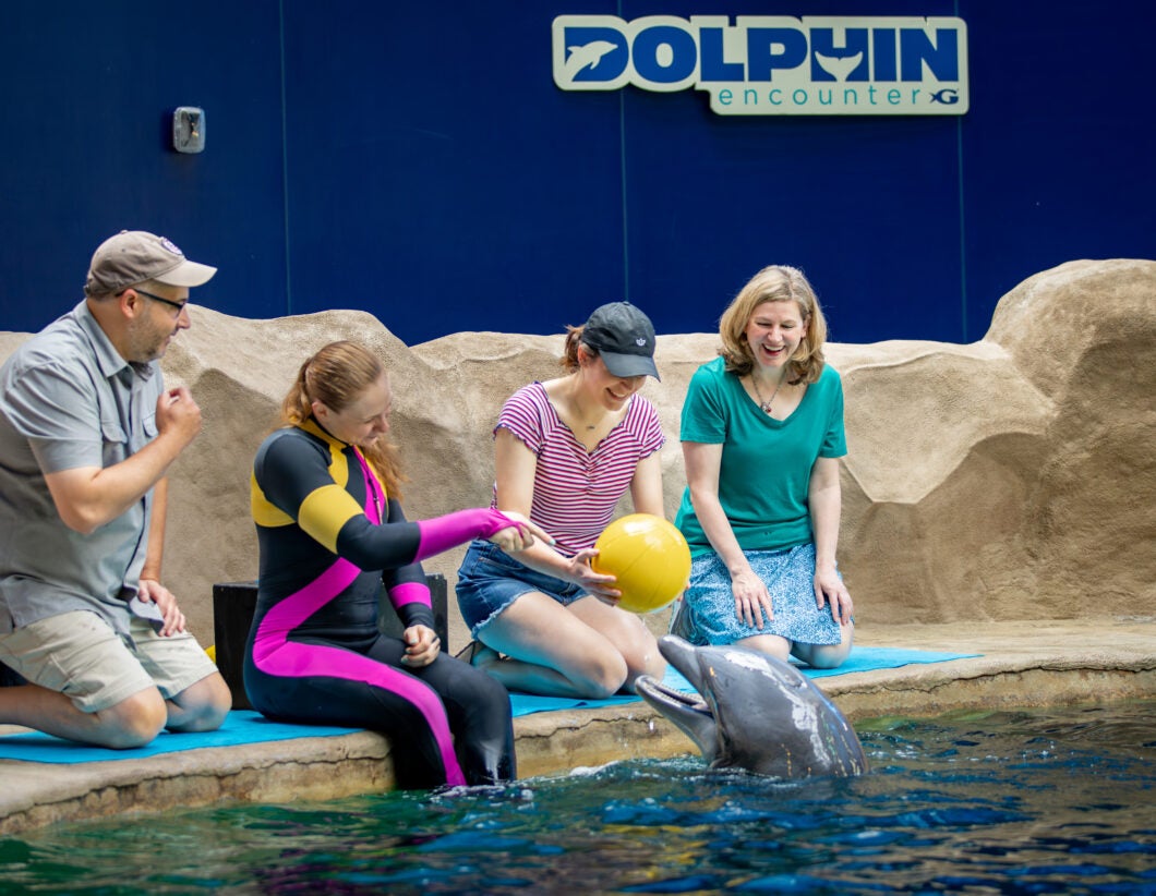 Dolphin Encounter 15