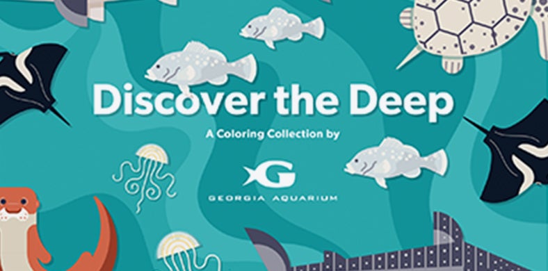Coloring Book