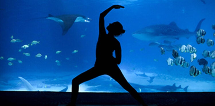 Aquarium Yoga