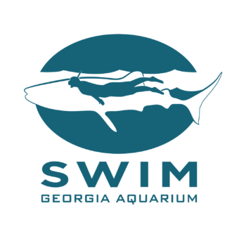 Journey with Gentle Giants - Swim 7