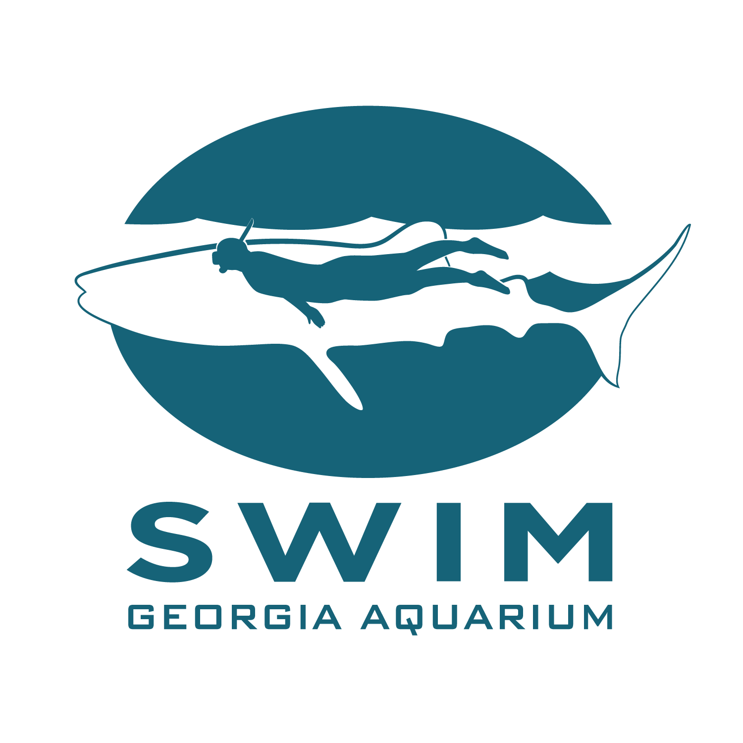 Journey with Gentle Giants - Swim 7