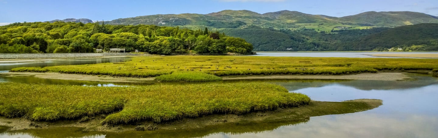 Estuary