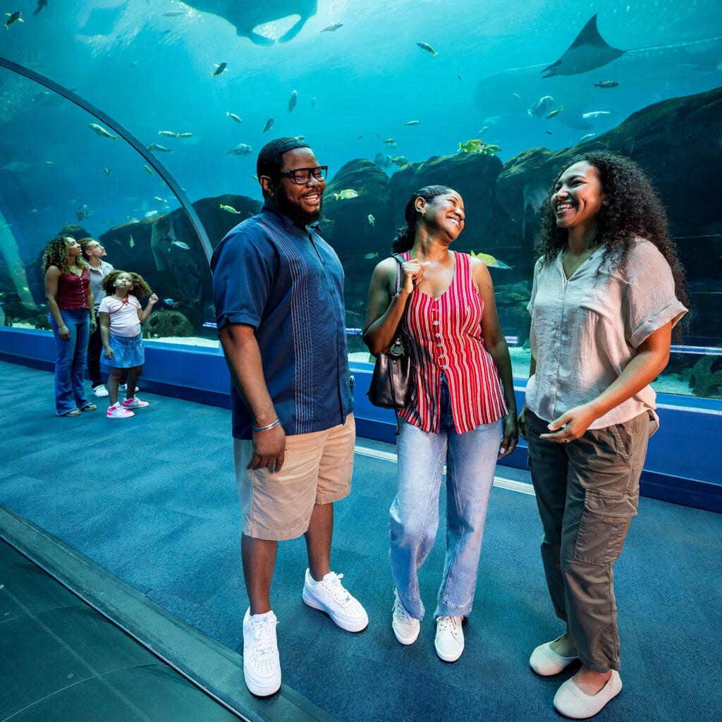 Group of 3 guest smiling
