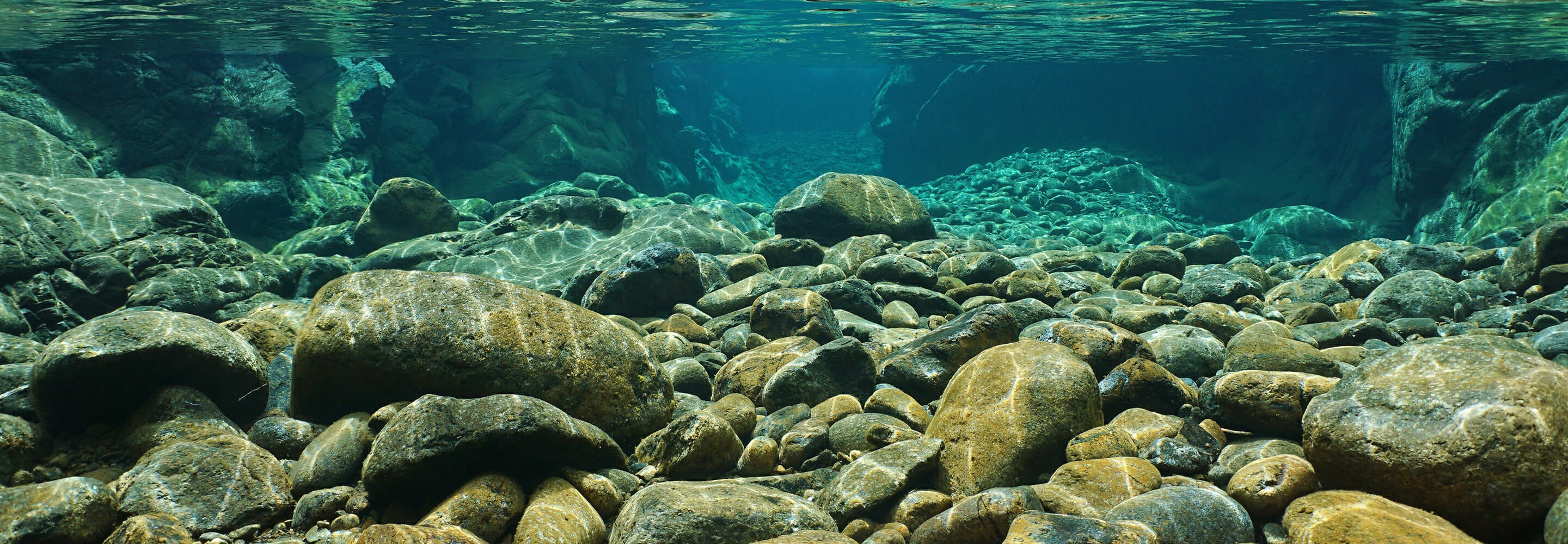 rocky-ocean-bottom