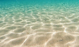 sandy-ocean-bottom