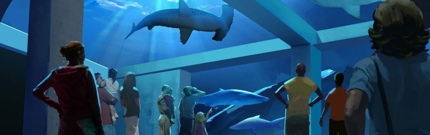 Expansion 2020 1