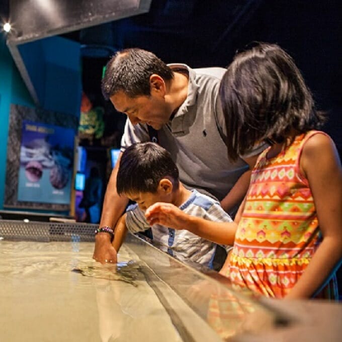 Family Memberships Aquarium