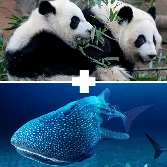 Land and Sea Membership Package Aquarium