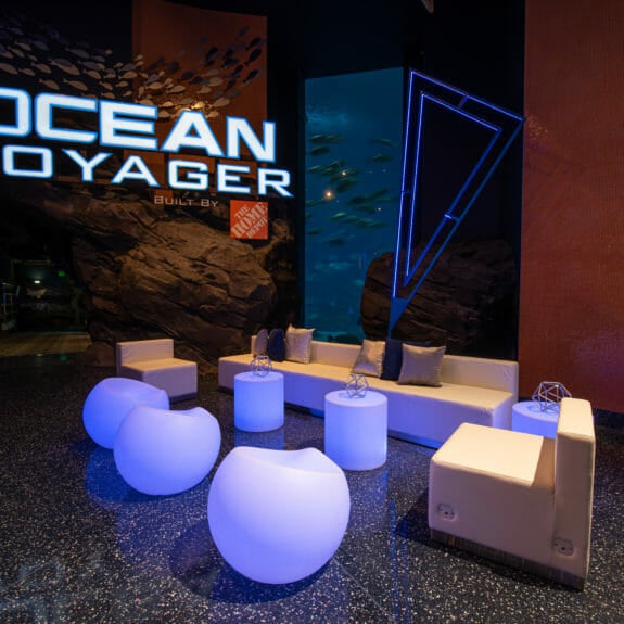 Event Venues In Atlanta Aquarium