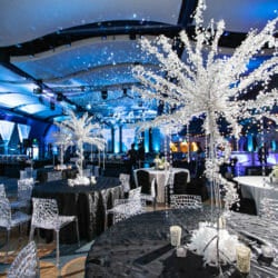 Atlanta GA Event Venues 11