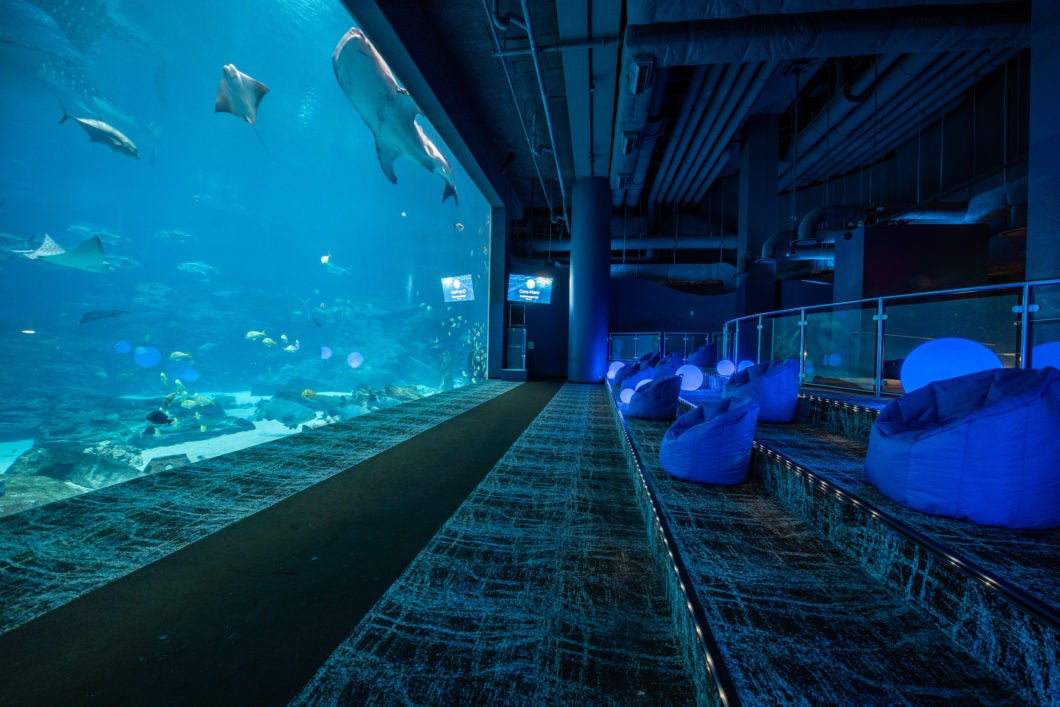 Ditch The Parking Headache: Your Guide To Seamless Shuttle Service At The Georgia Aquarium