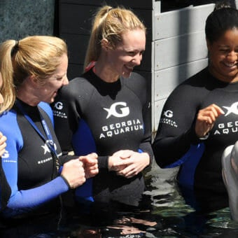 Beluga Interaction 6