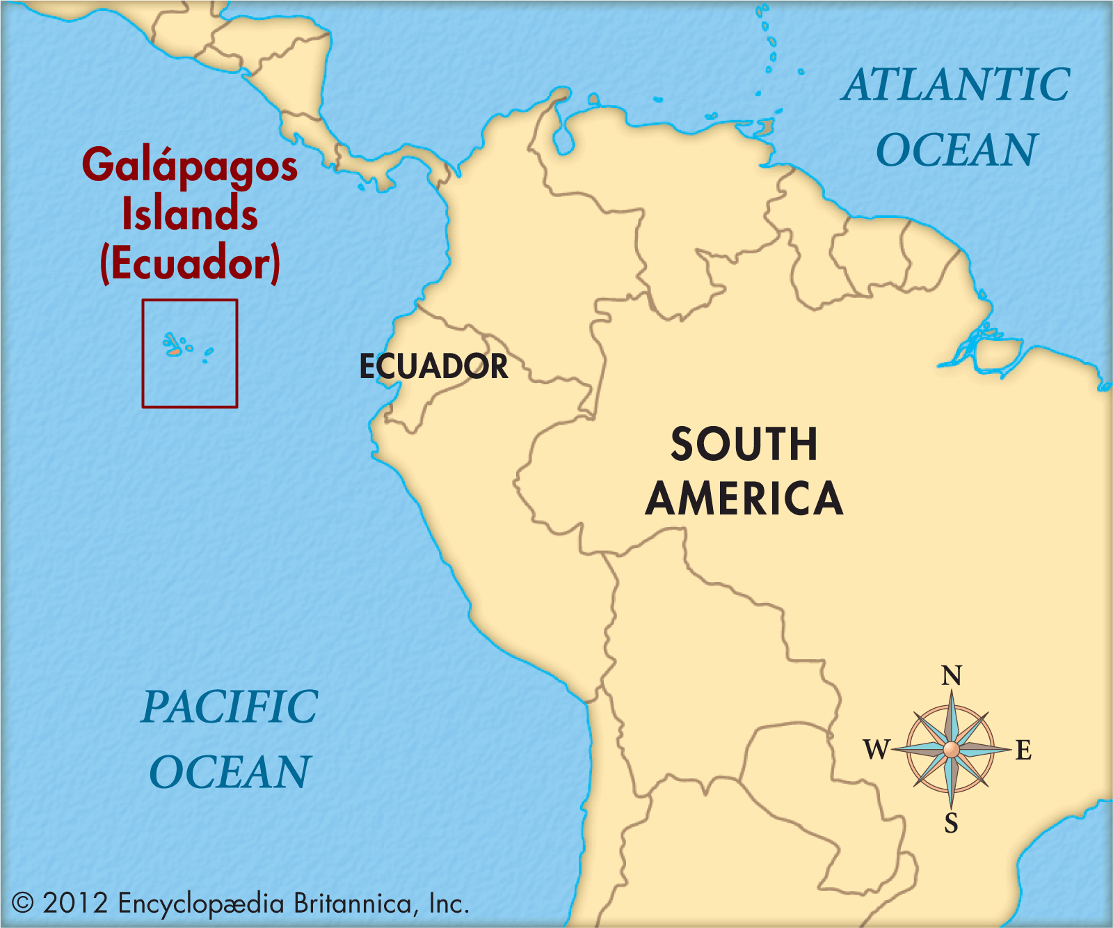 Dive the Galapagos with Georgia Aquarium