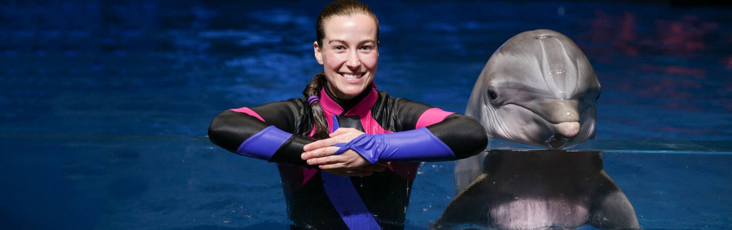Dolphin Celebration at Georgia Aquarium