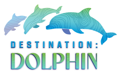 Dolphin Presentation 10
