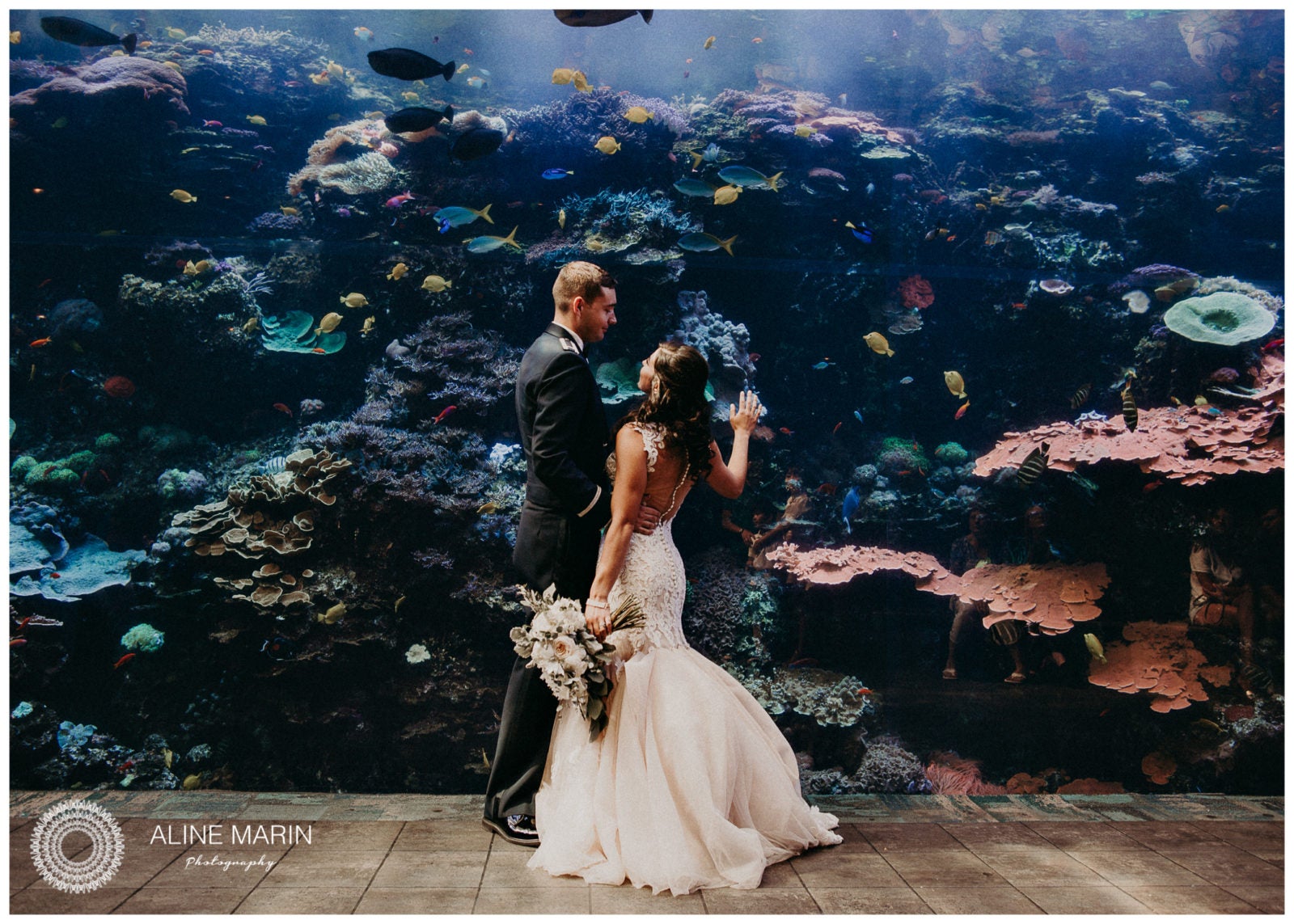 Unique Downtown Atlanta Wedding Venues Aquarium