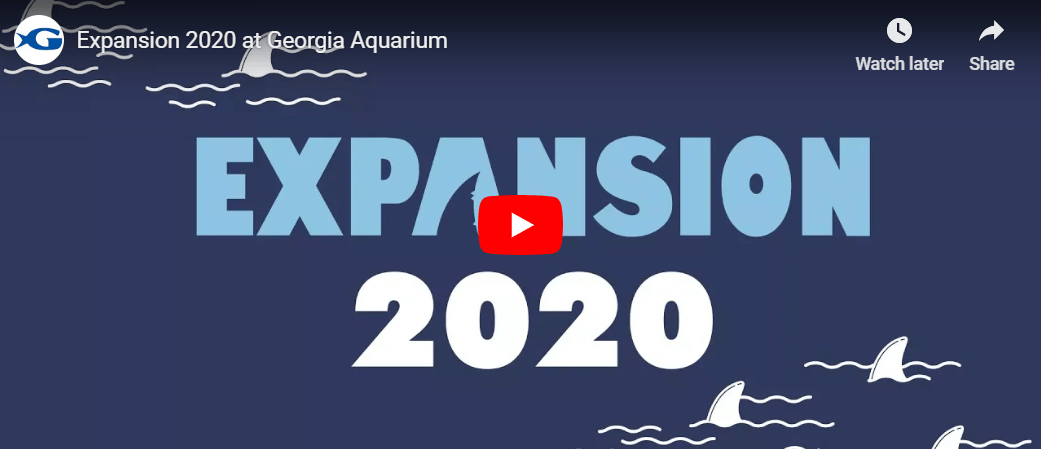 Expansion 2020