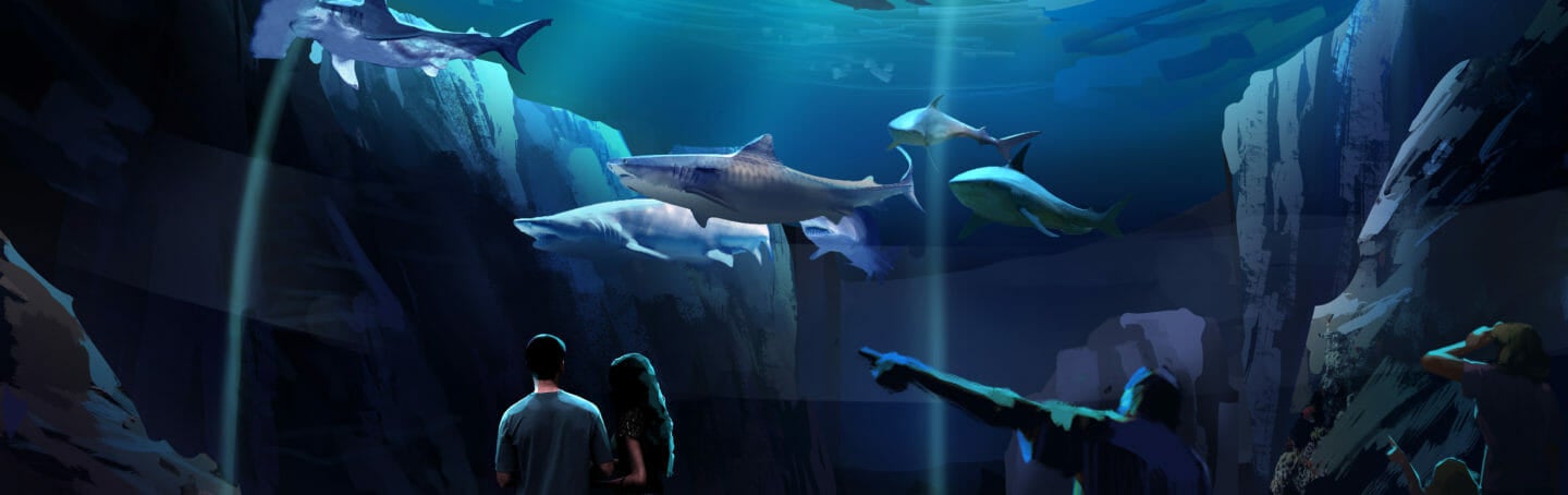 Georgia Aquarium Breaks Ground on Expansion 2020