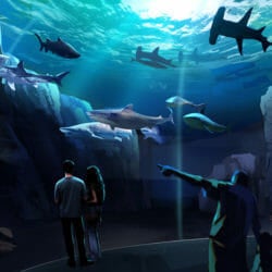 Georgia Aquarium Breaks Ground on Expansion 2020