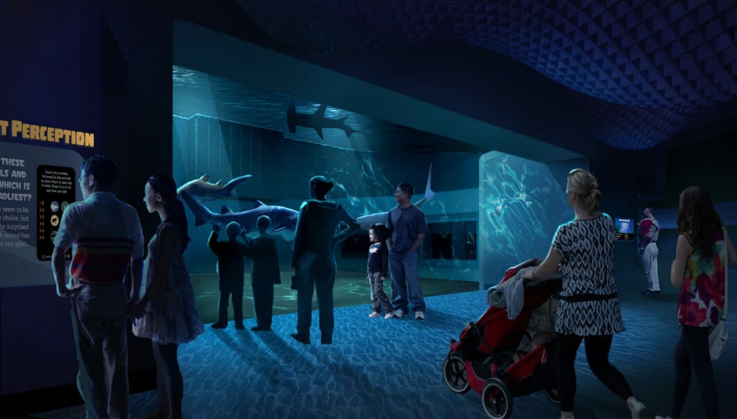 Georgia Aquarium Breaks Ground on Expansion 2020 2