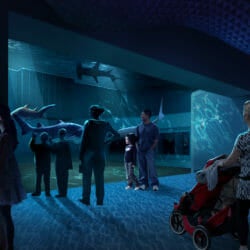 Georgia Aquarium Breaks Ground on Expansion 2020 2