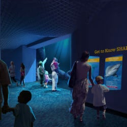 Georgia Aquarium Breaks Ground on Expansion 2020 3