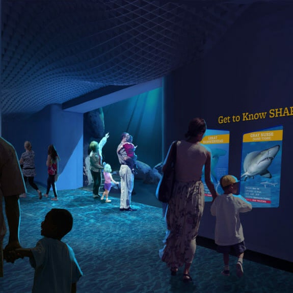 Expansion 2020 Aquarium