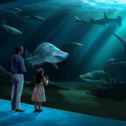 Georgia Aquarium Breaks Ground on Expansion 2020 4