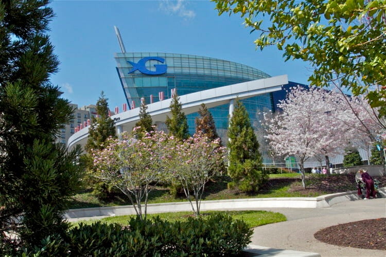 Georgia Aquarium Extends Resident Discount to Hurricane Evacuees 1