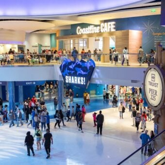 26 Experiences for 2026 with Georgia Aquarium