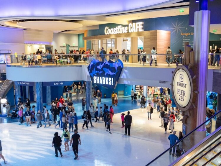 Georgia Aquarium Field Trips 5