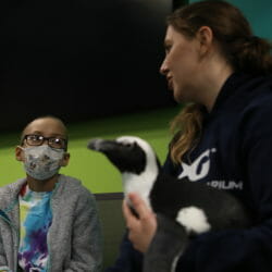 Georgia Aquarium Visits Children’s Healthcare of Atlanta 1