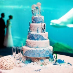 Host Your Wedding at Georgia Aquarium 9