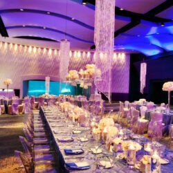 Host Your Wedding at Georgia Aquarium 10