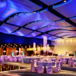 Host Your Wedding at Georgia Aquarium 13