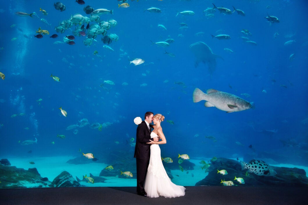 Host Your Wedding at Georgia Aquarium 16