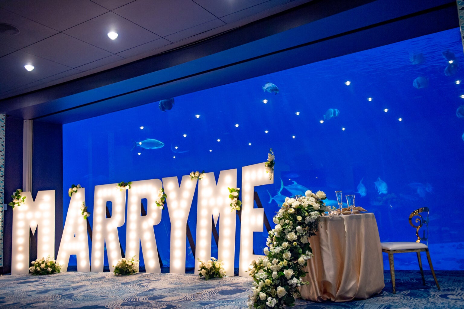 Unique Downtown Atlanta Wedding Venues Aquarium