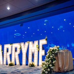 Host Your Wedding at Georgia Aquarium 19