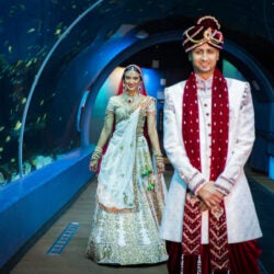 Host Your Wedding at Georgia Aquarium 26