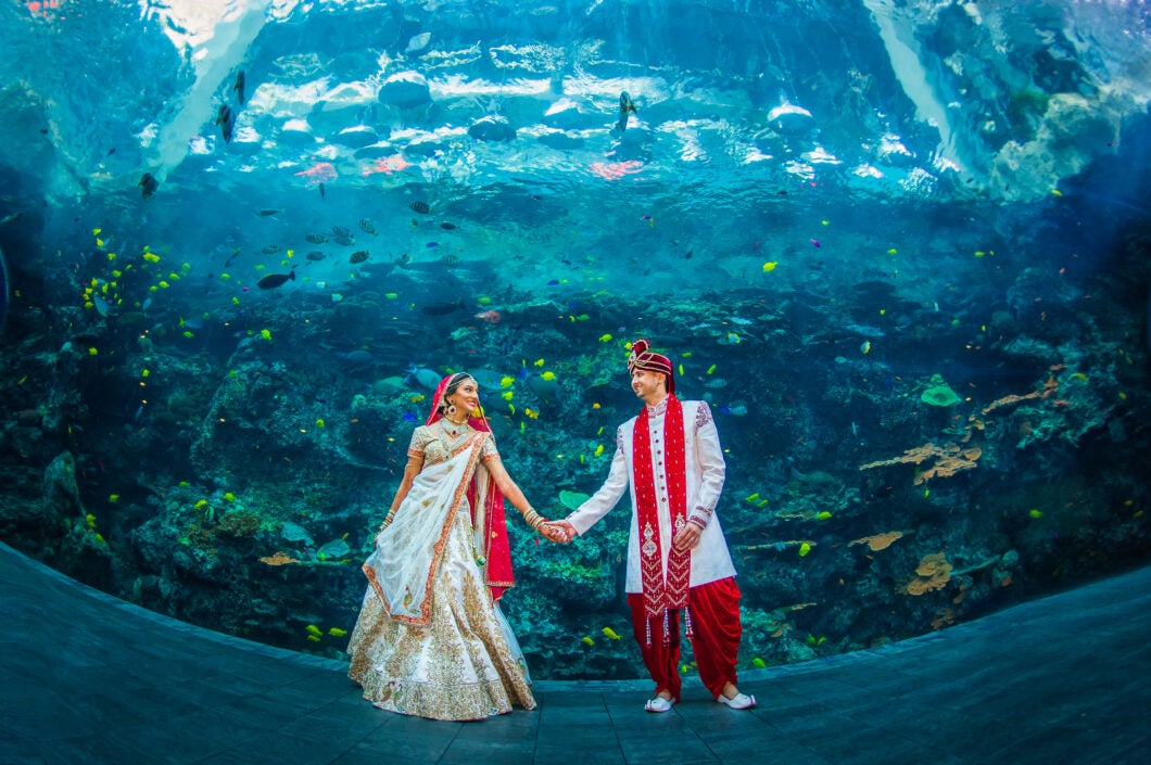 Host Your Wedding at Georgia Aquarium 27