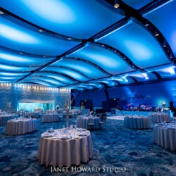 Host Your Wedding at Georgia Aquarium 31