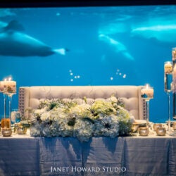 Host Your Wedding at Georgia Aquarium 32