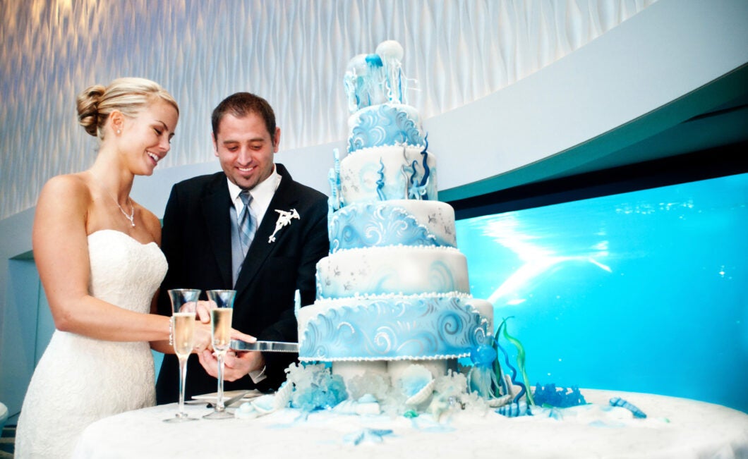 Host Your Wedding at Georgia Aquarium 3