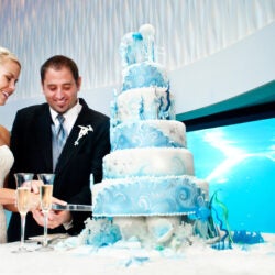 Host Your Wedding at Georgia Aquarium 3