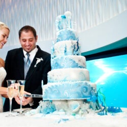 Host Your Wedding at Georgia Aquarium 3