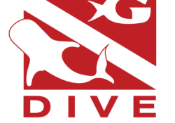 Journey with Gentle Giants — Dive 5
