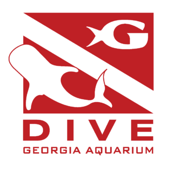 Journey with Gentle Giants — Dive 5