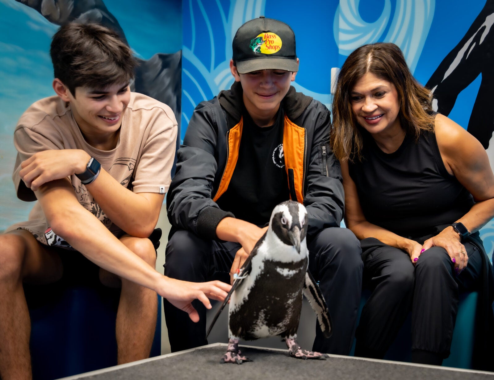 Penguin Animal Encounter & Experience Aquarium